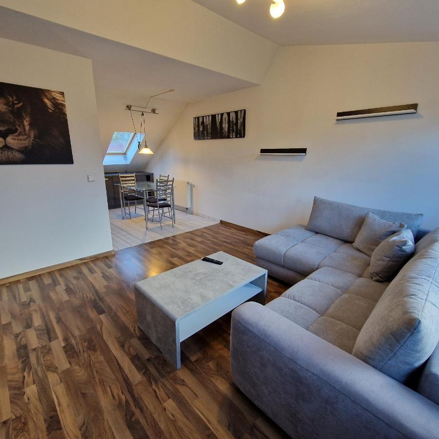 Dm Hotels & Apartments - Apartment Dosborn 5-9 Dingelstadt Ngoại thất bức ảnh